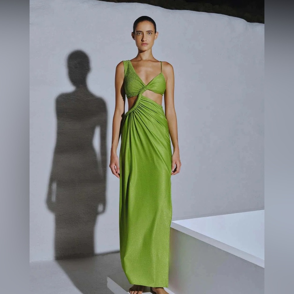 NWT Baobab Iara Maxi Dress in Bonsai